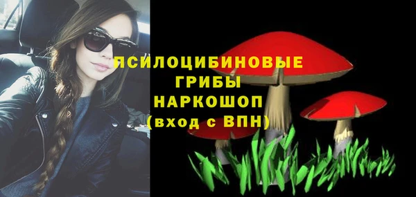 apvp Мегион