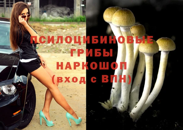 apvp Мегион
